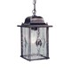 image 1 of Wexford 1 Light Outdoor Ceiling Chain Lantern Black Silver IP43, E27
