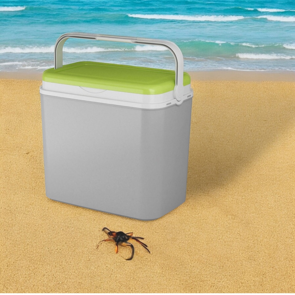 image 1 of 36L Insulated Camping Beach Cooler Lunch Box