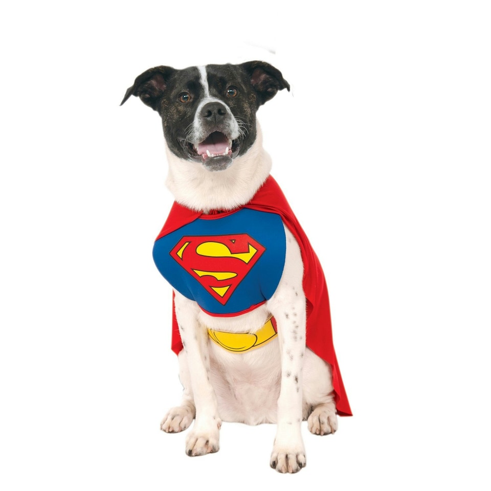 Superman Dog Costume - Red/Blue/Yellow - XL-61cm-71cm