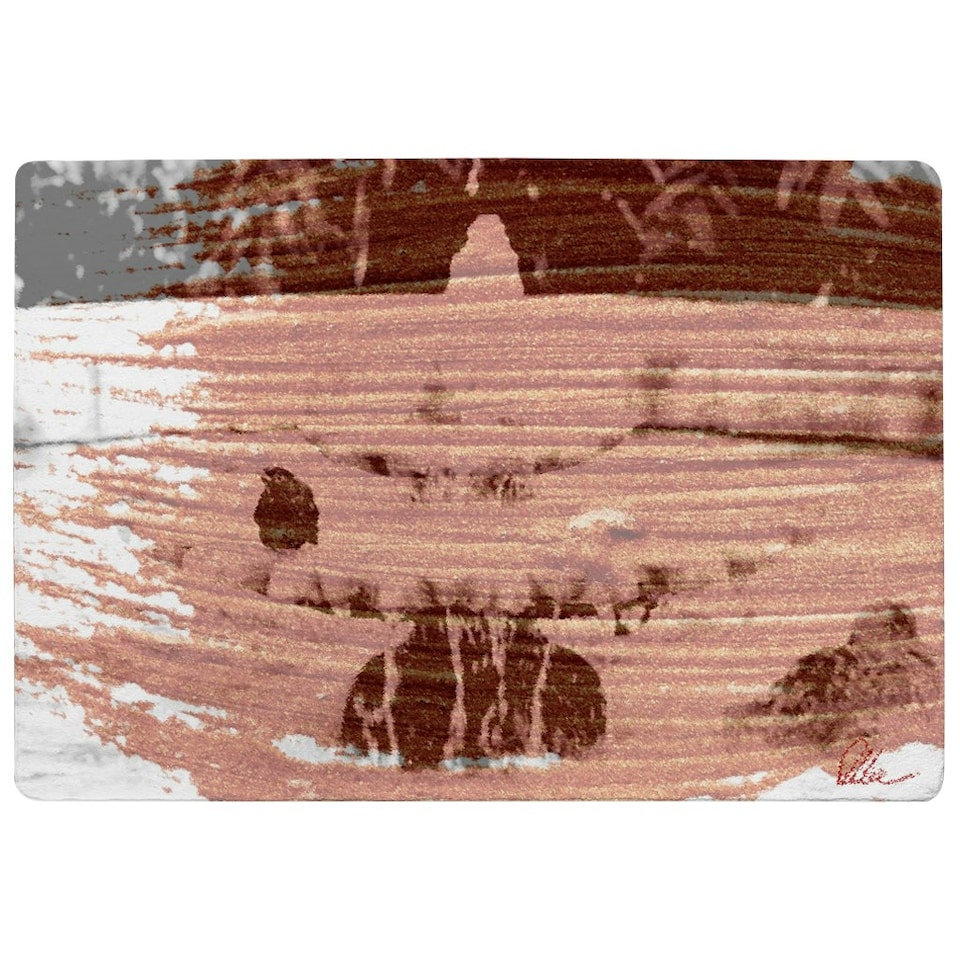 image 1 of Bird Bath (Rug) Brown | Medium: 80x150cm