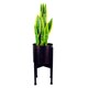 image 4 of Medium Black Stand with Gold Metal Planter 38.5cm x 18cm | Gold