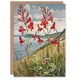 image 1 of Red Wildflowers On Hunt Cliff Saltburn Him Her Birthday Card