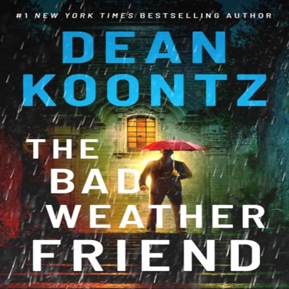 Bad Weather Friend The