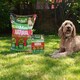 image 3 of Westland Natural Lawn Rescue Bundle large 400m2
