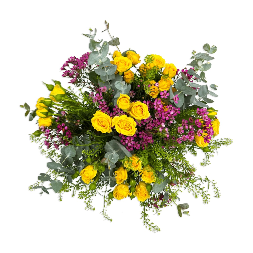 image 1 of Hello Sunshine