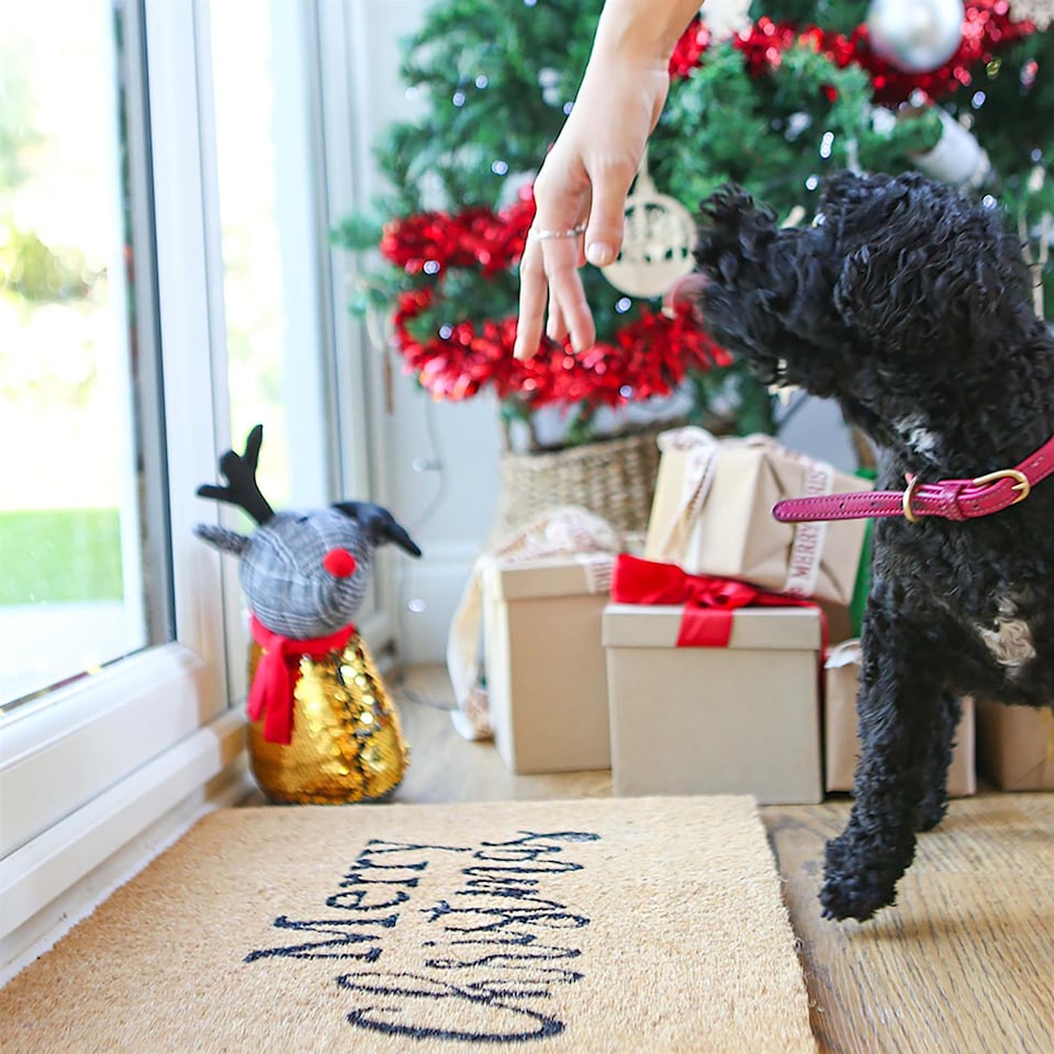 image 1 of Nicola Spring Christmas Coir Door Mat - 60 x 40cm - Merry Christmas