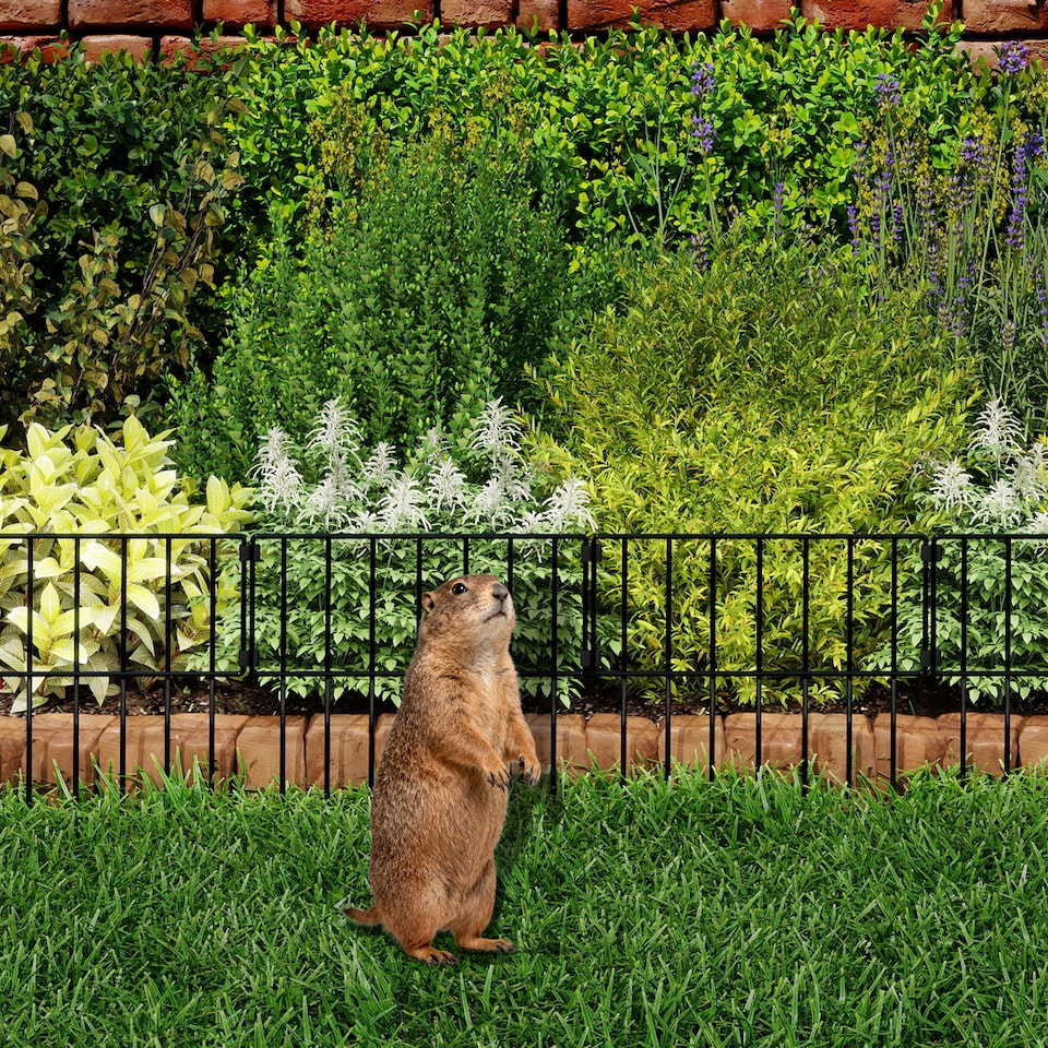 image 1 of Levede 10 Pack Metal Garden Fence Decorative Animal Barrier Outdoor Pet Border | Black