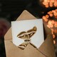 image 3 of Sherman Denton Art Card Ailanthus Silk Moth Vintage Illustration