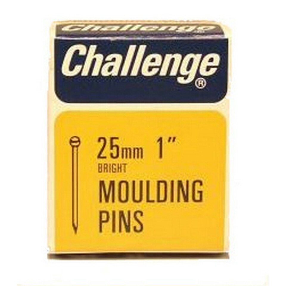 image 1 of Challenge Moulding Pins - Silver - 25mm