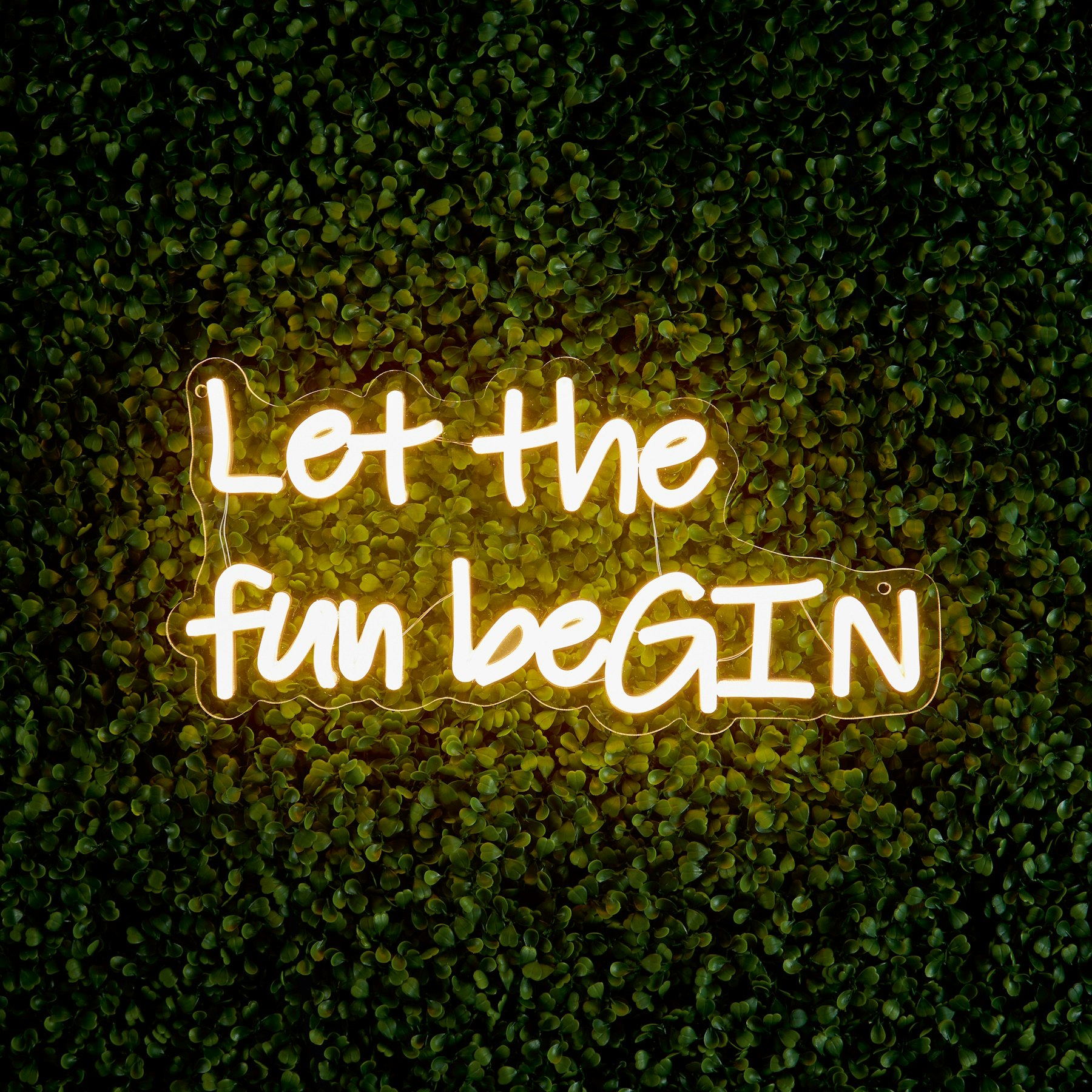 Fun Begins The Outdoor Living Company LED Neon Wall Sign Quote - Let The Fun BeGin ...