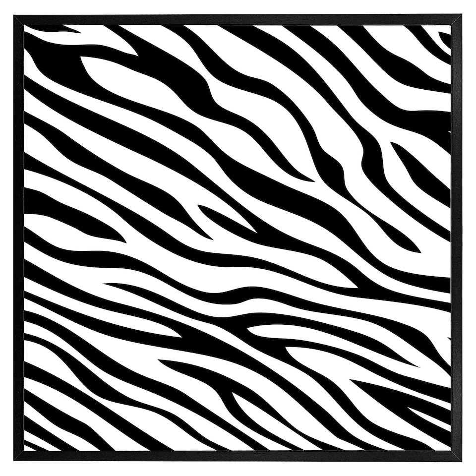 image 1 of Zebra print (Picture Frame) Black | S