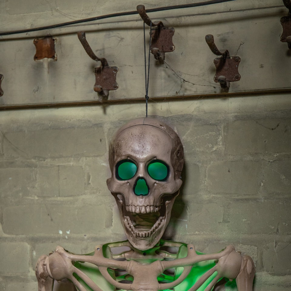 image 1 of 5ft (152cm) Battery Powered Light up Halloween Skeleton with Poseable Joints & Green LEDs