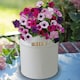 image 3 of Pronto Seed Petunia Grow Your Own Kit with Decorative Milk Churn Planter - Colourama Mix - Garden Gift for Beginners
