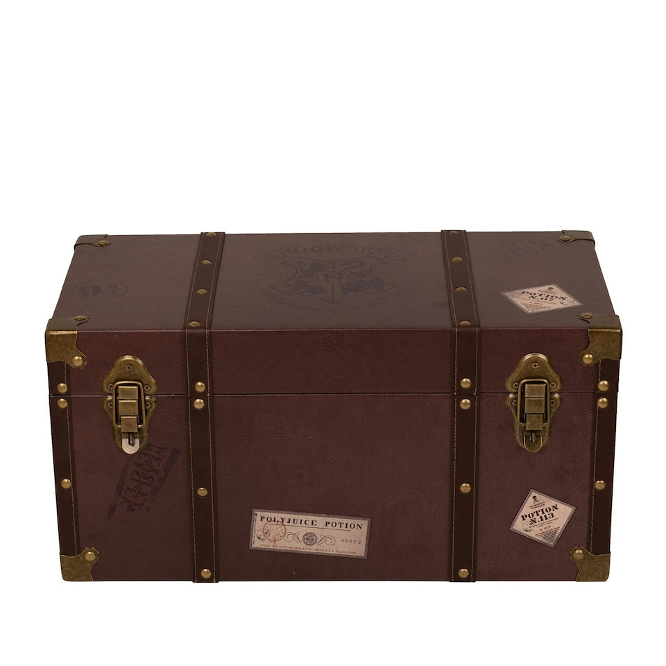 image 1 of Warner Bros Harry Potter Alumni Large Trunk Set of 2