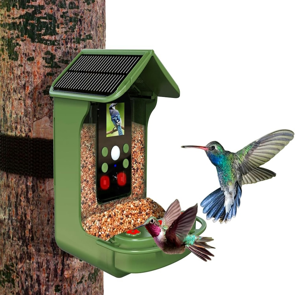 image 1 of Denver Birdcam with rechargeable battery BFC-1200