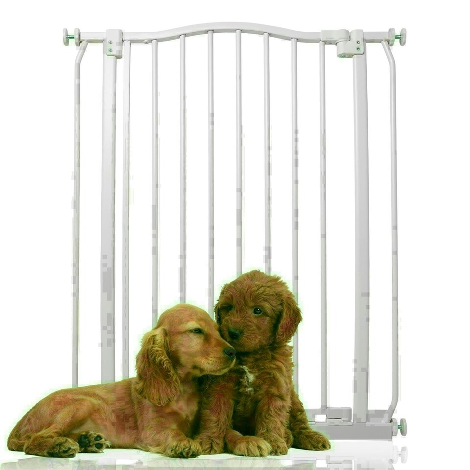 image 1 of Bettacare Extra Tall Curved Top Dog Gate, 71cm - 80cm, Matt White, Extra Tall 100cm in Height, Pressure Fit Pet Gate