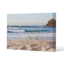 dune grass in Australia with turquoise surf waves of the pacific ocean (Canvas Print) | Cream