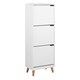 image 1 of Mitra Shoe Cabinet 3 Flip Down Doors in White