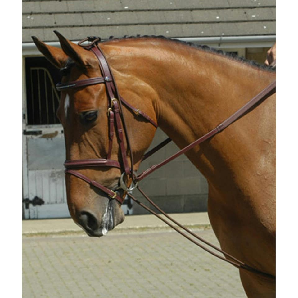 image 1 of Whitaker Training Rein - Brown - One Size