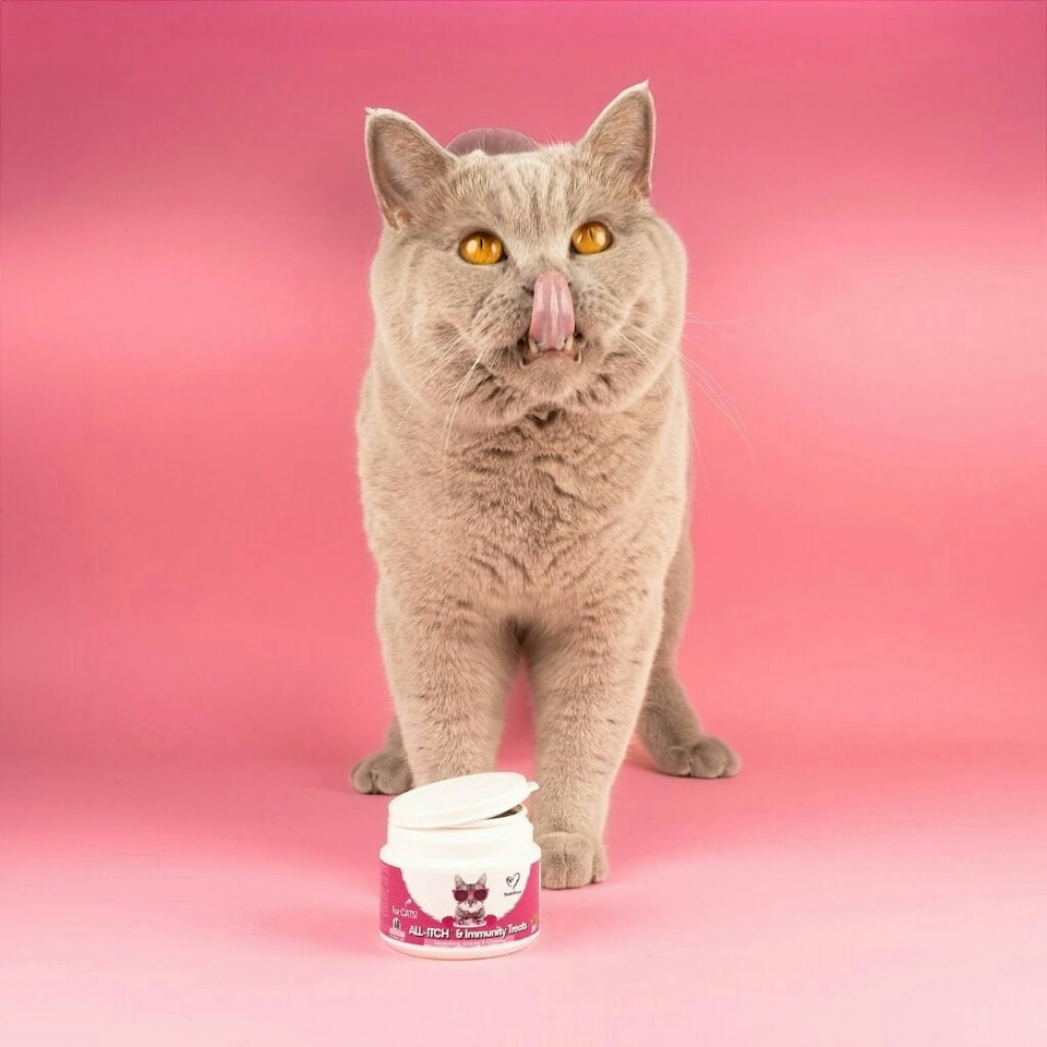 image 1 of All-Itch Chews for Cats