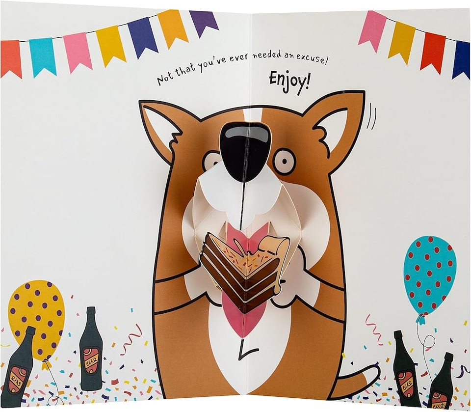 image 1 of Dog Illustration Pop Up Design Funny Son Birthday Card