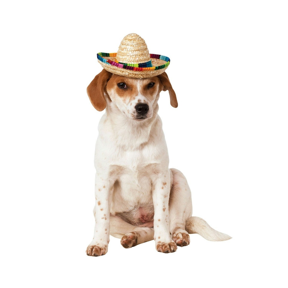 Bristol Novelty Sombrero Dog Costume - Multicoloured - M-L