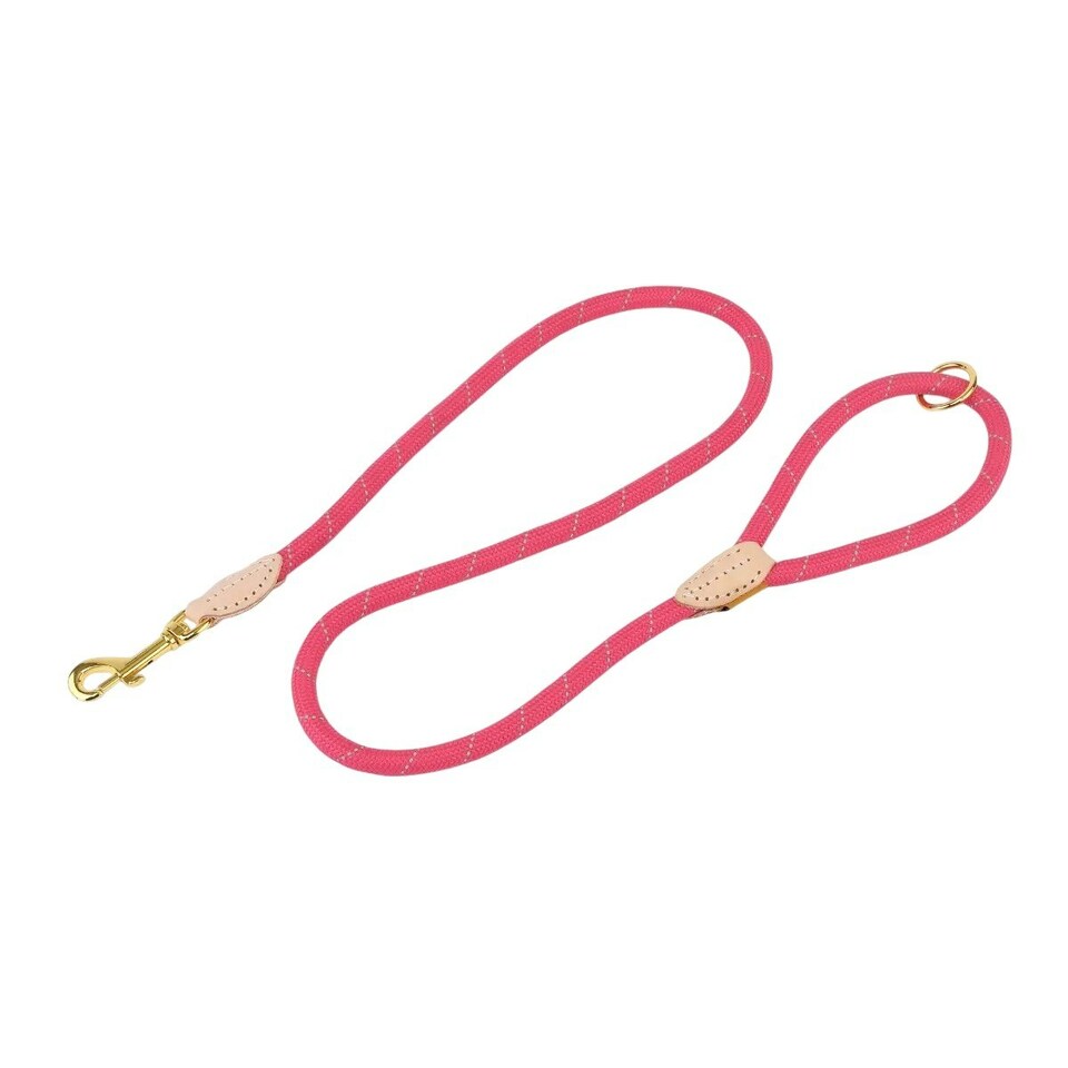 Digby & Fox Reflective Leather Dog Lead - Pink - One Size