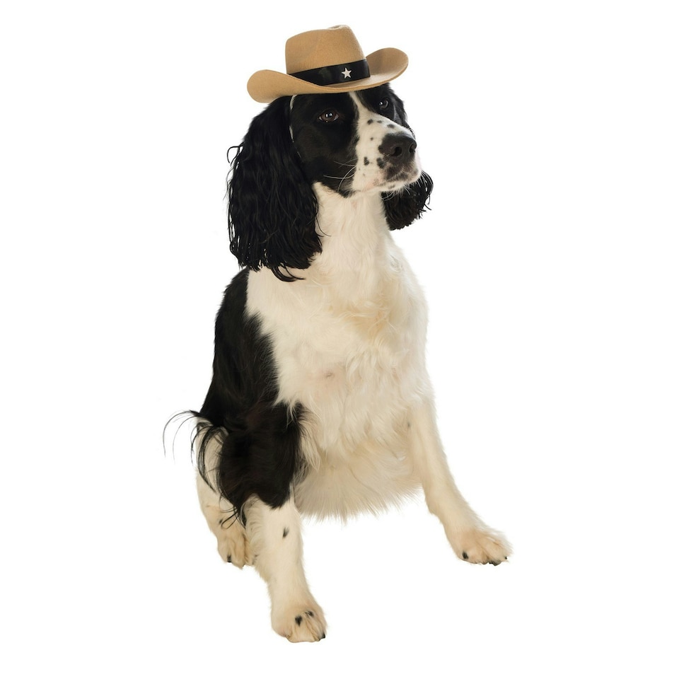 Bristol Novelty Cowboy Hat Dog Costume - Cream/Black - S-M