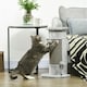 image 2 of PawHut Claw Scratcher Corner Wall, with Plush Sisal Toy Balls, 58cm, Grey