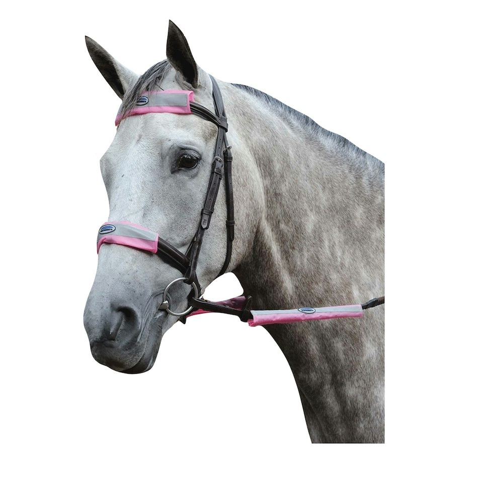 image 1 of Weatherbeeta Reflective Horse Bridle (Pack of 4) - Pink - One Size