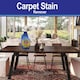 image 9 of 1001 Carpet and Pet Stain Remover Spray Set 500ml Gentle Deep-Cleaning for Rugs Upholstery and WoolSafe Floors