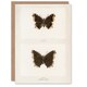 image 1 of Sherman Denton Art Card Mourning Cloak Butterfly