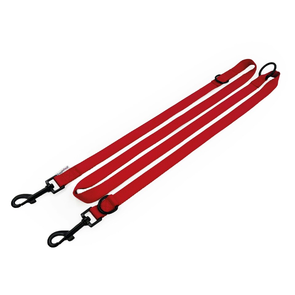 image 1 of HugglePets 10 in 1 Dog Training Lead - 200 x 1.9cm Red