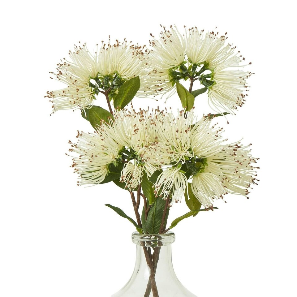 image 1 of Hill Interiors Protea Nitida Stem Artificial Flower Spray - Cream - One Size