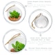 image 2 of Nicola Spring Hanging Glass Terrariums - 12cm - Clear