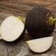 image 2 of Radish Black Spanish Round - Hardy Heritage Winter Vegetable Crisp White Flesh Black Skin Easy Grow