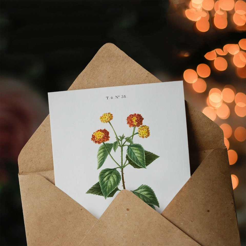 image 1 of Pierre-Joseph Redouté Art Card Lantana Plant Vintage Botanical