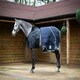 image 2 of LeMieux Anti Rub Bib Black | X-Large