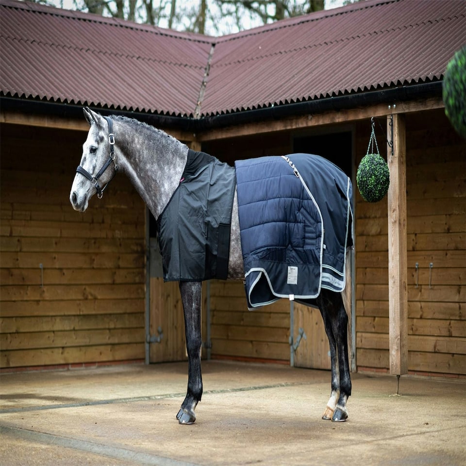image 1 of LeMieux Anti Rub Bib Black | X-Large