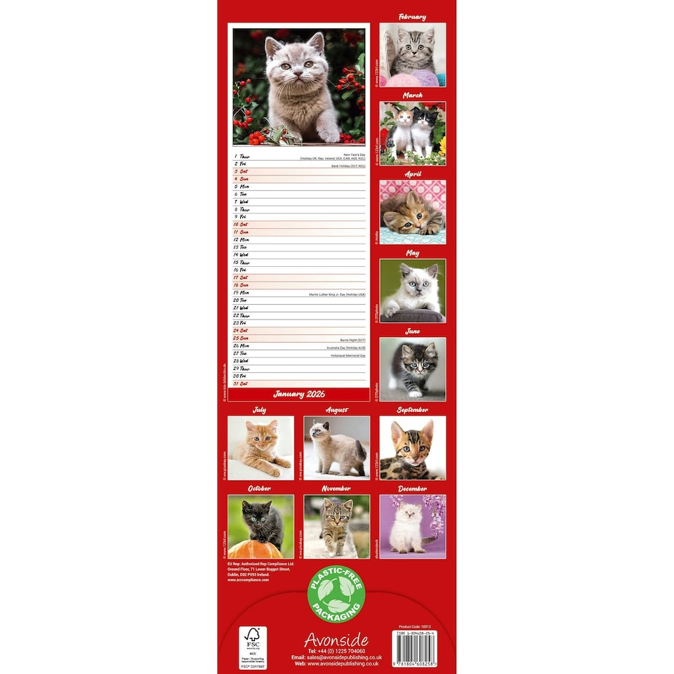 image 1 of Kittens Slim 2026 Calendar | Slimline Wall Calendar | Cat Gift | Plastic Free Packaging | by Avonside Publishing [Calendar] Avonside Publishing Ltd