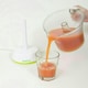 image 4 of Quest Electric Citrus Fruit Juicer