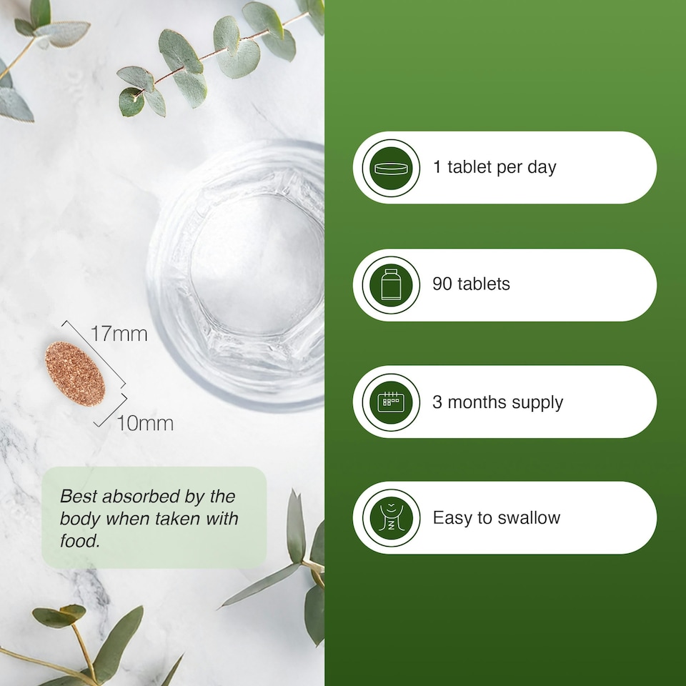 image 1 of Zipvit Green Tea 7000mg, High Antioxidant Support with 95% Polyphenols, 90 Vegan Tablets, 3-Month Supply