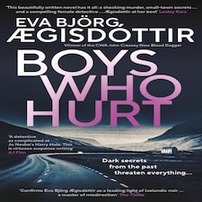 Boys Who Hurt