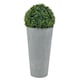 image 1 of Tubus Plant Pot with Boxwood Ball Plant and Insert - 38.1x 20x20cm | Grey | Light Grey & Set of 1 | 1