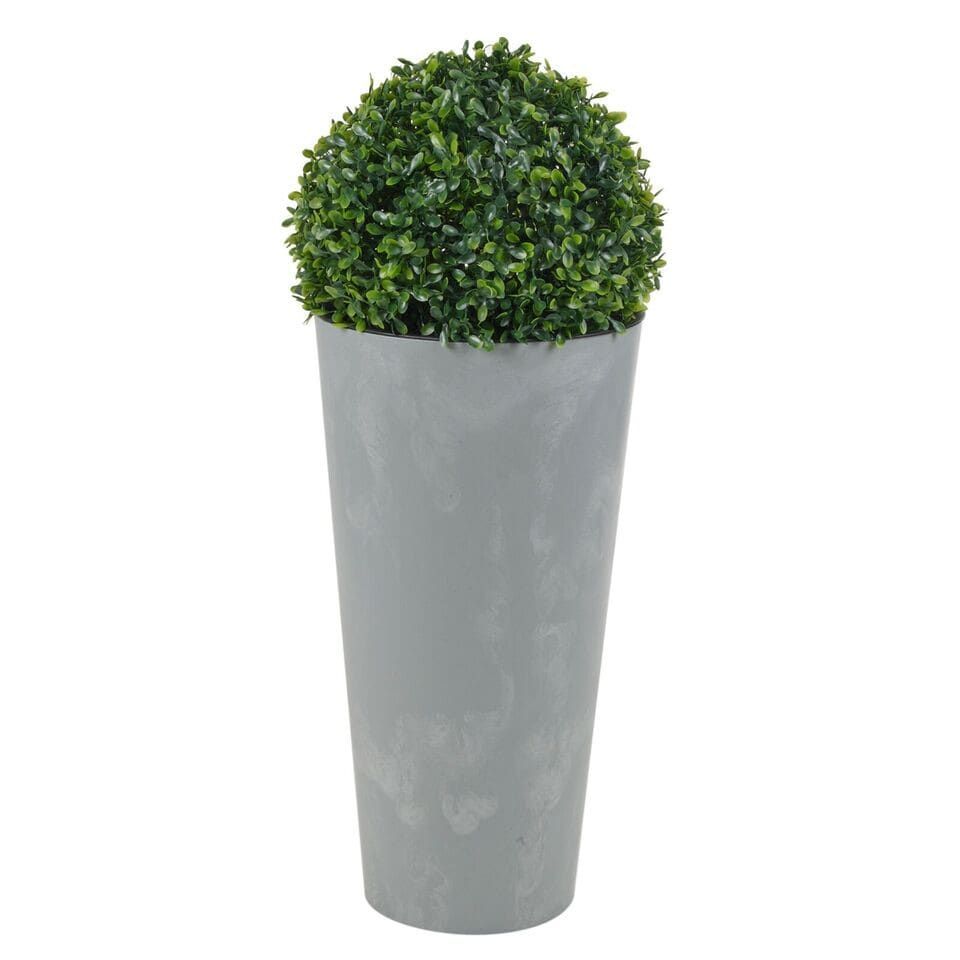 image 1 of Tubus Plant Pot with Boxwood Ball Plant and Insert - 38.1x 20x20cm | Grey | Light Grey & Set of 1 | 1