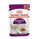 image 1 of Royal Canin Sensory Feel in Gravy Wet Cat Food - 48 x 85 g (4.08 kg) | Multi | 48 x 85g | 1