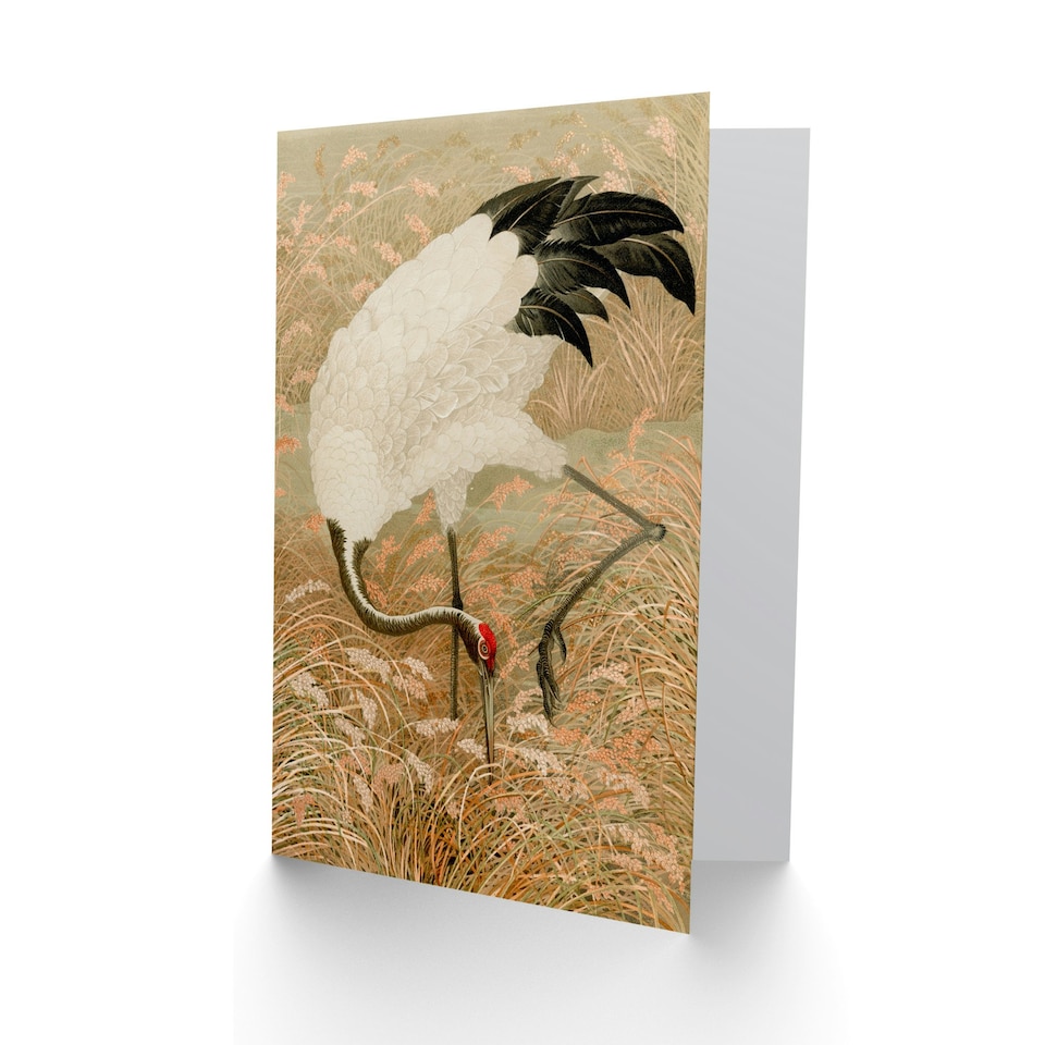 image 1 of G A Audsley Art Card Sarus Crane Foraging in Rice Field