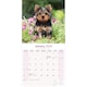 image 3 of Yorkshire Terrier 2026 Calendar | Square Wall Calendar | Dog Breed Gift | Plastic Free Packaging | by Avonside Publishing