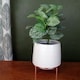 image 3 of White Ceramic Planter Metal Stand Plant Pot | White