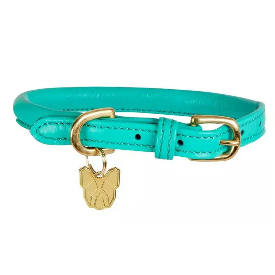 Digby & Fox Rolled Leather Buckle Dog Collar - Teal - S - Neckline: 35cm-40cm